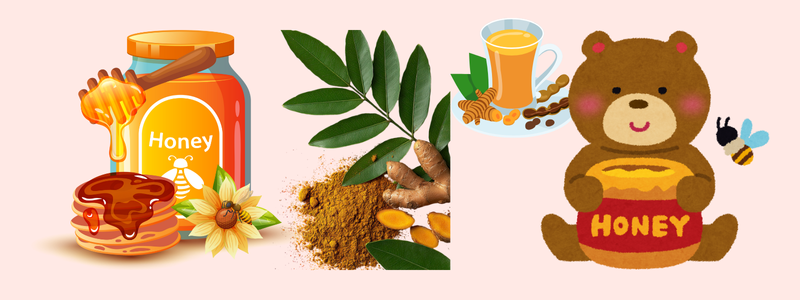 Turmeric and Honey The Golden Healing Duo Everyone Is Talking About