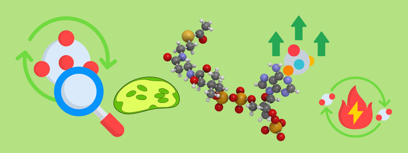 Metabolism Is Slowing Down ,Subtle signs Matter More Than You Think