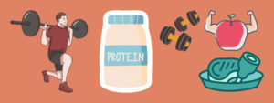 Protein for muscle growth