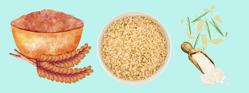 Brown vs White Rice: The Arsenic Debate – Which One Is Really Healthier?