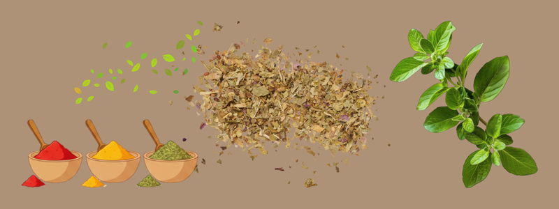 Oregano health benefits : The Small Herb with Remarkable Power
