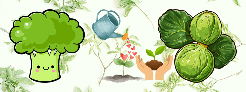 Sulforaphane Benefits: Why This Natural Compound Is a Wellness Game-Changer